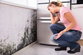 Best Residential Mold Inspection & Testing  in Crosby, MN